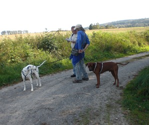 2011 Orientierungslauf